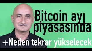 Bitcoin Ayı Piyasasında Neden Tekrar Yükselecek?