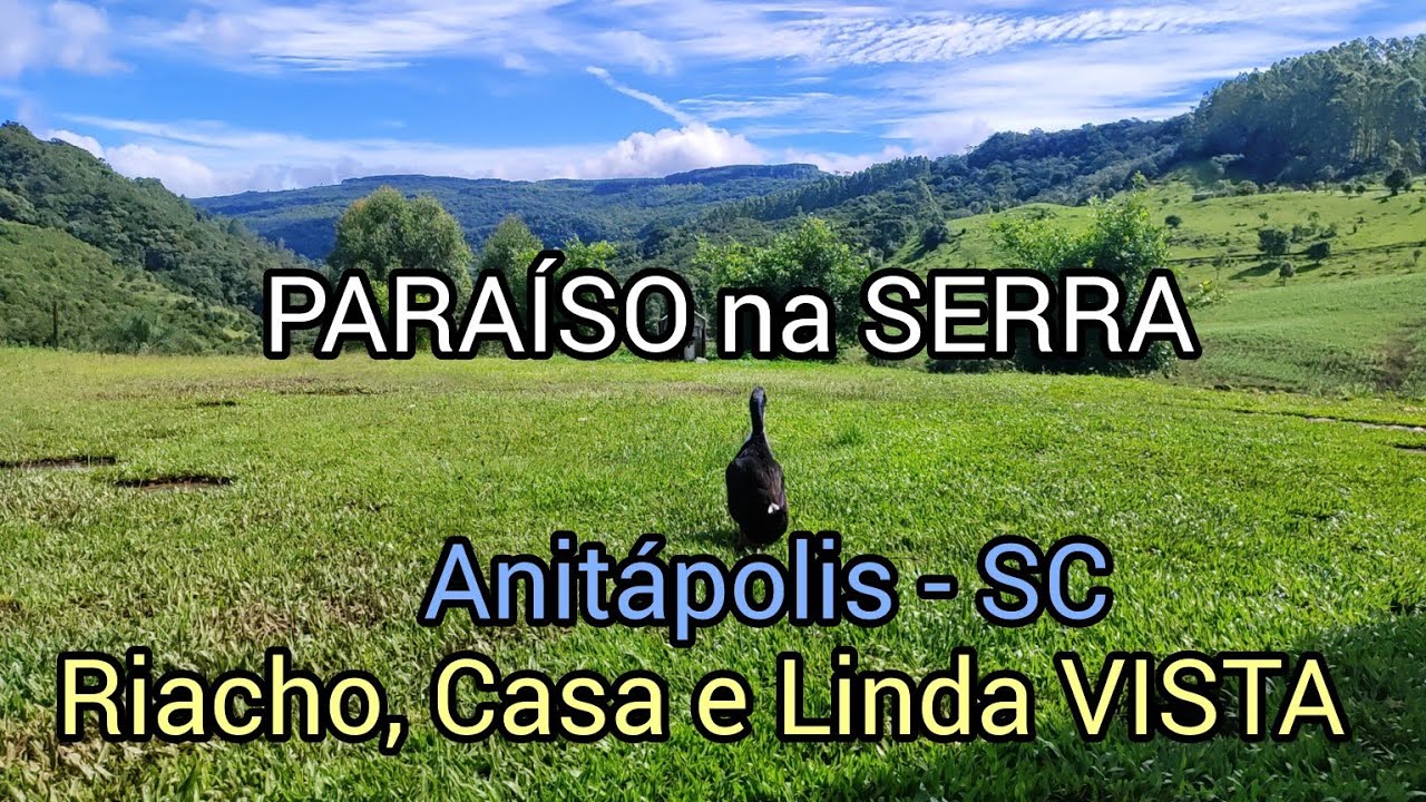 ** VENDIDO**Sitio linda  vista  30.000 metros, riacho em Anitápolis  SC, casa,  pastagem e bosque.  