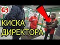 КОРОЧЕ ГОВОРЯ, КОШКА В ПЯТЕРОЧКЕ | БЕЗДОМНАЯ КОШКА В РЕАЛЬНОЙ ЖИЗНИ