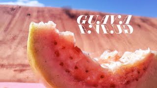 Guava Fruit Facts 101