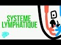 🔴 L'EXPLICATION LA PLUS CLAIRE DU SYSTEME LYMPHATIQUE  ! - DR ASTUCE