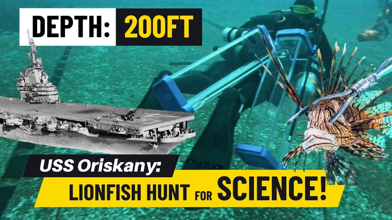 Oriskany Lionfish Hunt FLIPPERS DIVING