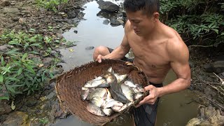 Top Fishing: Bushcraft Survival, Ability Harvest Many Fish, Catch A Lot Of Fish