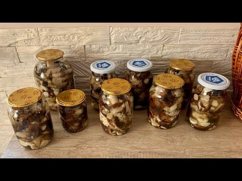 Маринованные грибы валуи |Самый вкусный рецепт маринада