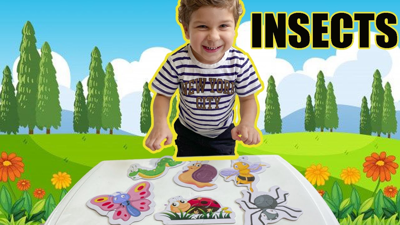 Making Insects Puzzle For Kids - YouTube