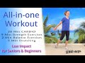 All in one workout  cardio strength balance stretching  exercise for seniors  beginners