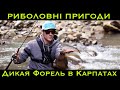 Дикая Форель в Карпатах | Риболов Angler №2