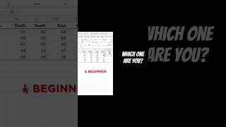 Which Excel skill level are you? #exceltips #excel #shorts