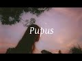 Lirik Cover | Pupus - Hanin Dhiya