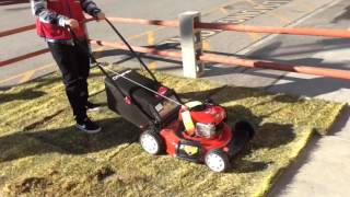 Lowe's 1873 Spring L&G 2016