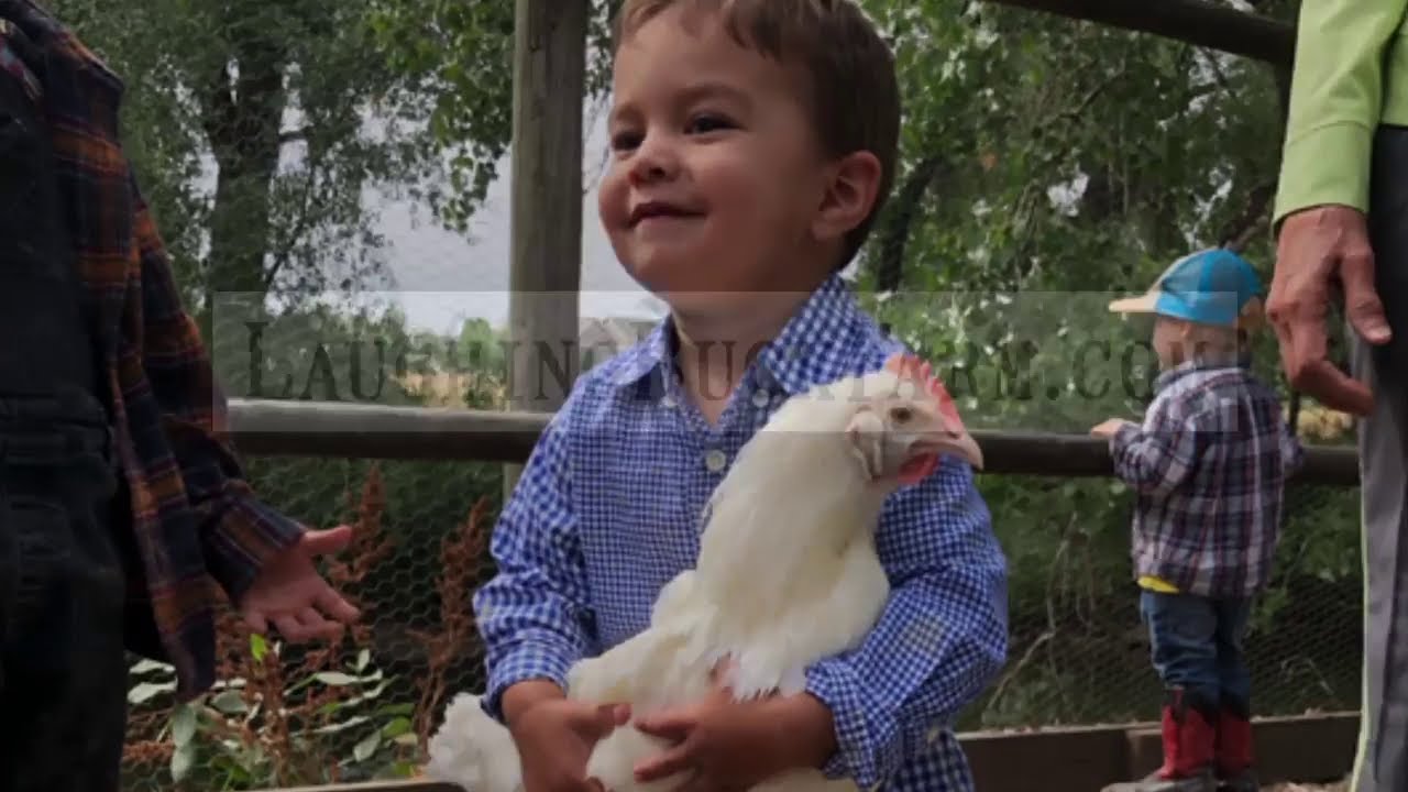 Laughing Buck Farm: Not a Petting Zoo