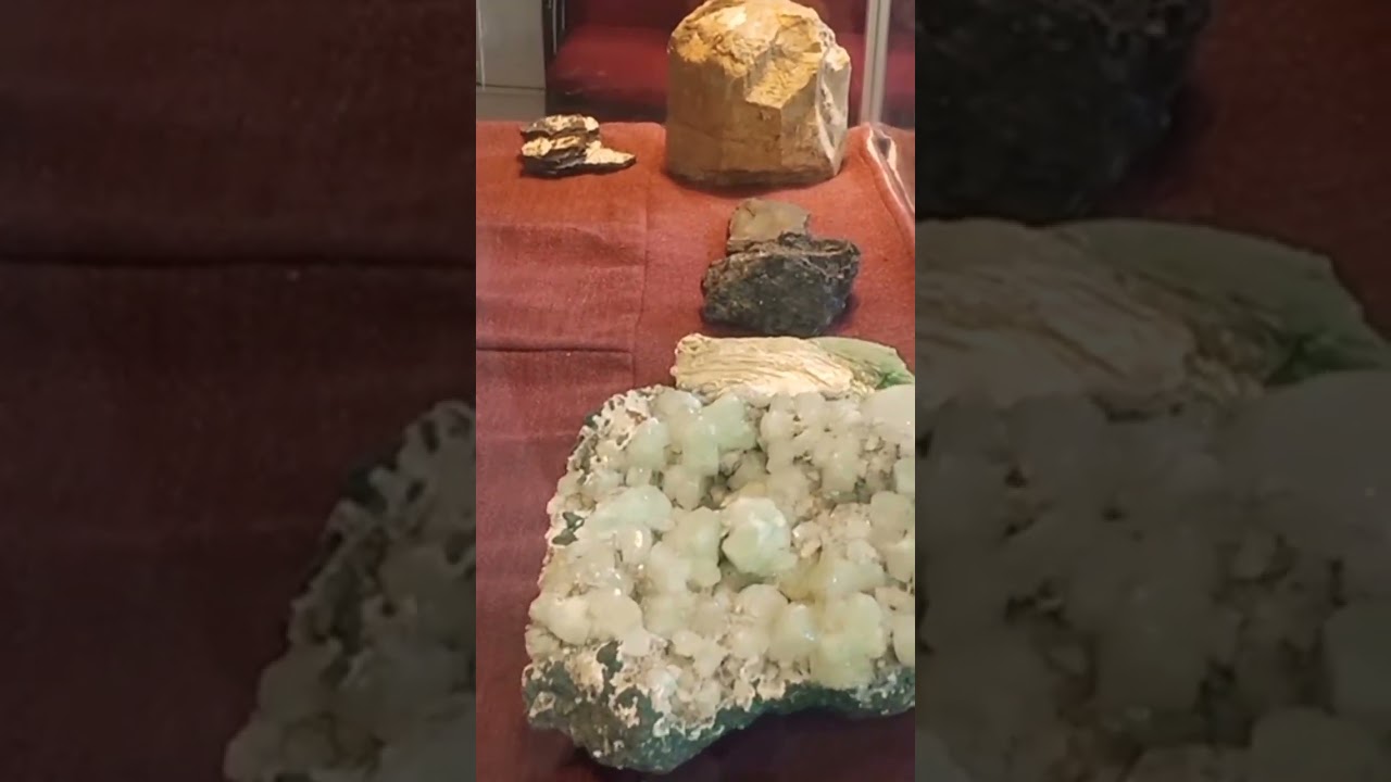 Science Center children's can learn about our universe plants And Zooalogy 