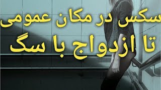رابطه جنسی در مکان عمومی تا ازدواج با سگ - YouTube