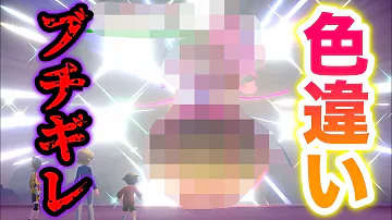 期間限定 化石ポケの が色違い確率アップ バージョン限定で激レアだから急げ 冠の雪原 ポケモン剣盾有料dlc Mp3 期間限定 化石ポケの が色違い確率アップ バージョン限定で激レアだから急げ 冠の雪原 ポケモン剣盾有料dlc Mp3