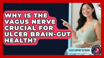Why Is The Vagus Nerve Crucial For Ulcer Brain-gut Health? - Ulcer Support Network
