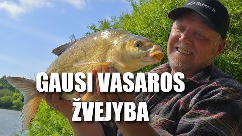 Method feederis, paprasta ir veiksminga su Pauliumi Korsaku | Vienam gale kablys | 4K