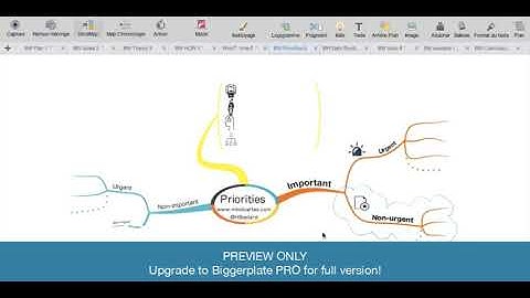 Mind Mapping and Time Management (PREVIEW)