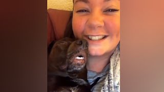 Try Not To Laugh Watching Funny Fails Videos 2021 Funny