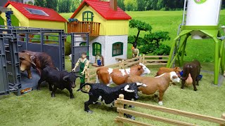 The Cattle In The Farm Toroscowsbullsvacasmucche