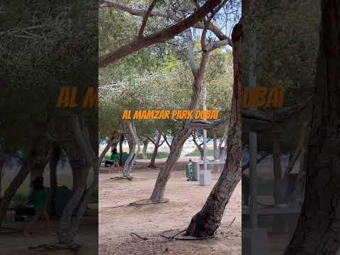 Al Mamzar Park Dubai  #travel #beach #beachvibes #dubai #uae