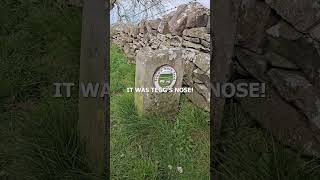 Come spend a day off with me ❤️