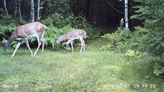 This week in review by Peter Hurley 65 views 9 years ago 49 seconds