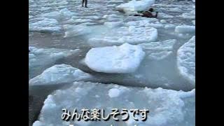 知床の流氷ウォーク   Drift ice walking tour of Hokkaido,Japan 日本北海道知床的流冰