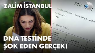 Dna Testinde Şoke Eden Gerçek - Zalim İstanbul 29 Bölüm