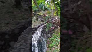 Stairway to Big Buddha