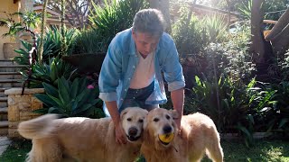 The Garden Gurus - Creating a pet friendly garden