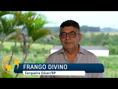 FRANGO DIVINO - CERQUEIRA CÉSAR/SP - MUNDO EMPRESARIAL