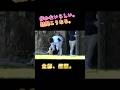 歩かない楓浜。結局こうなる。