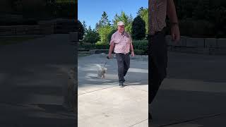 2 old friends out for a walk #mikeanddad