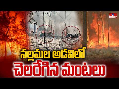 నల్లమల అడవిలో చెలరేగిన మంటలు | Fire Broke out in Nallamala Forest | hmtv - HMTVNEWS