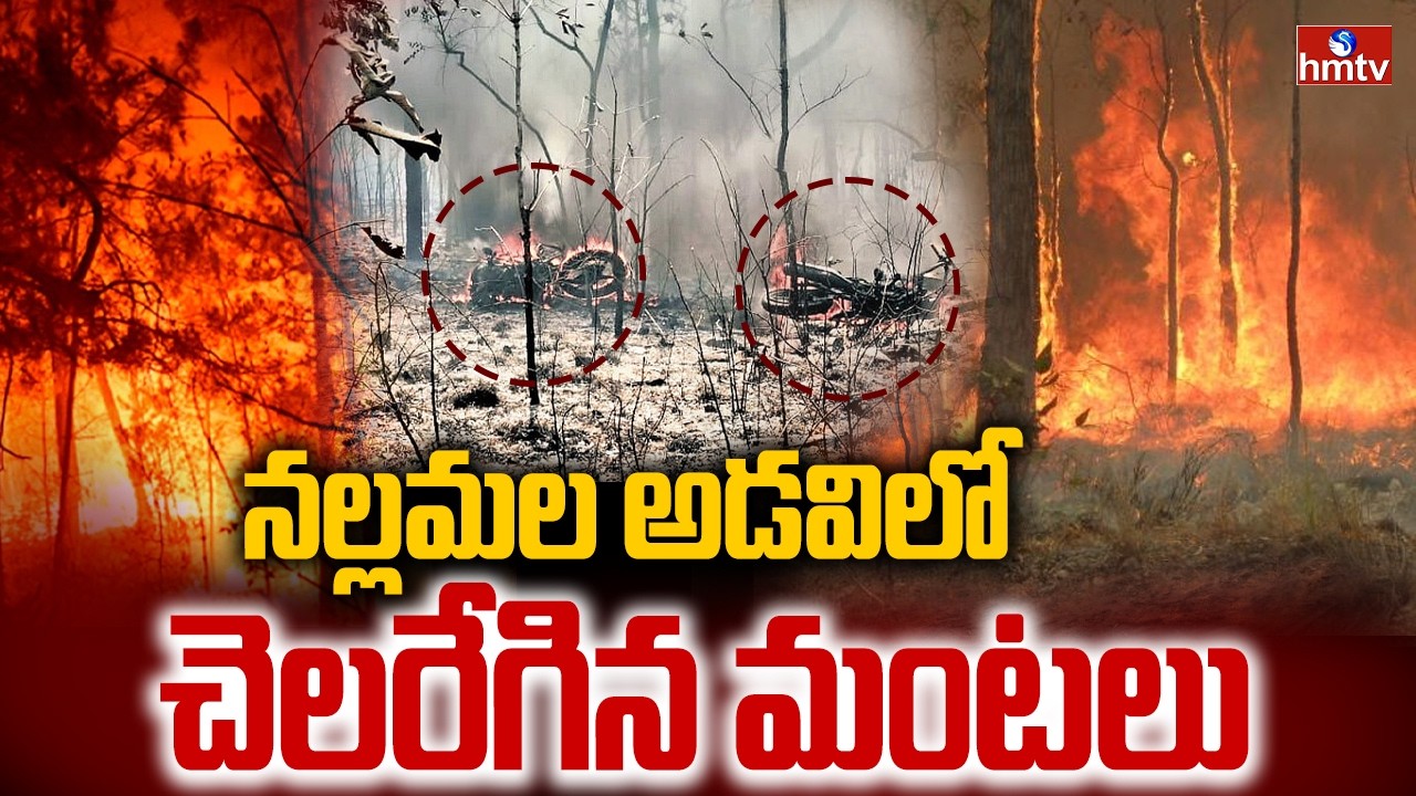 నల్లమల అడవిలో చెలరేగిన మంటలు | Fire Broke out in Nallamala Forest | hmtv