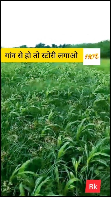 gaw se ho to story lagao #kisan #trendingreels