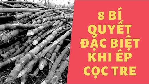 8 bí quyết đặc biệt hướng dẫn ép cọc tre cho móng băng