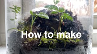 How to make a ecosystem