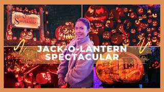 Jack-O-Lantern Spectacular At The Roger Williams Zoo Tips For Your Nex Visit Marchmalloworld