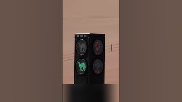 Lắp đèn giao thông trên sa mạc cho lạc đà vì quá tải du khách #shorts #lacda #alpaca #samac #沙漠