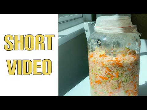 ভিডিও: মাছ এবং Sauerkraut সঙ্গে পাই