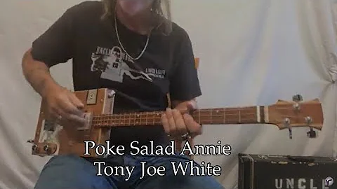 Polk Salad Annie Tony Joe White lesson with tricks...