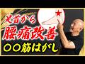 【足首から腰痛改善⁉】しつこい腰の奥の痛みを改善に導く錬堂流!足首の‟〇〇筋はがし”を伝授