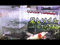 【アクアリウム】ソイルの寿命切れ？足しソイルしていきます