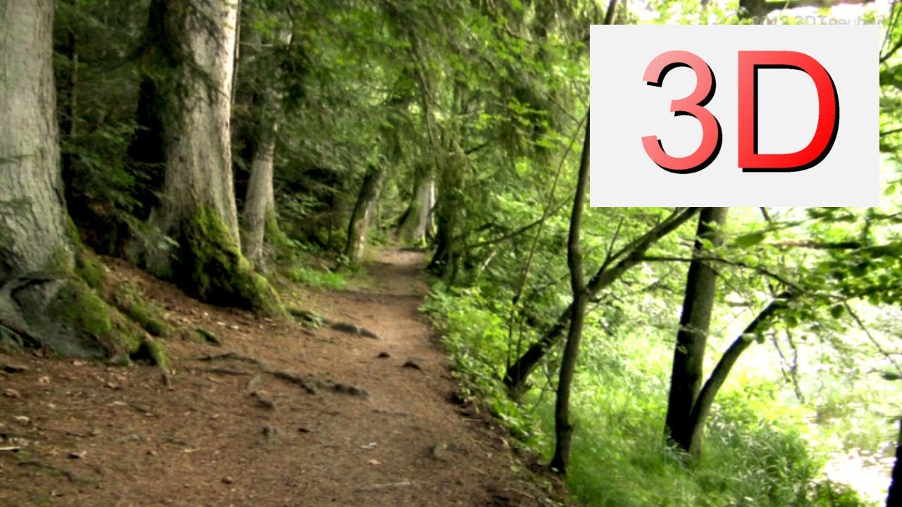 watershed 3D Video: WALKING with Music #1
