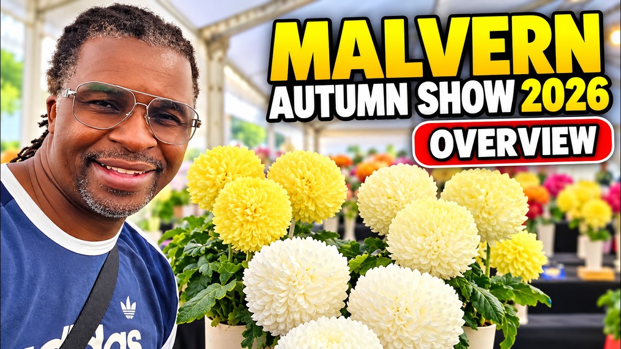 Malvern Autumn Show 2026 | A Gardener’s Tour of Flowers, Harvests & Giant Pumpkins