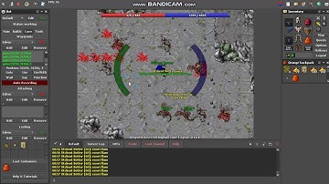 OTClientV8 on MegaTibia with bot