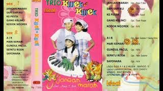 Trio Kwek Kwek - Jangan Marah   Composer - Papa T. Bob (1996)