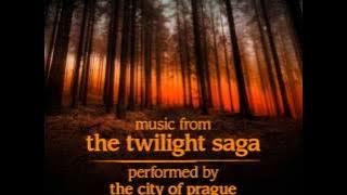 Jacob Black (From The Twilight Saga Eclipse)