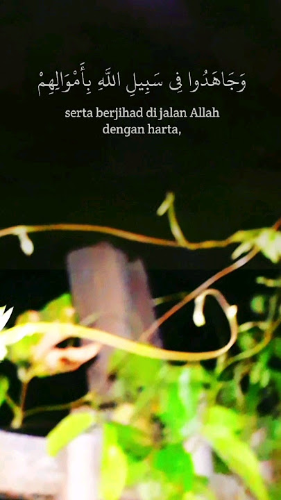 Murottal Al Quran tentang Jihad #islamicstatus #ayatpendek #shortvideo #storywa